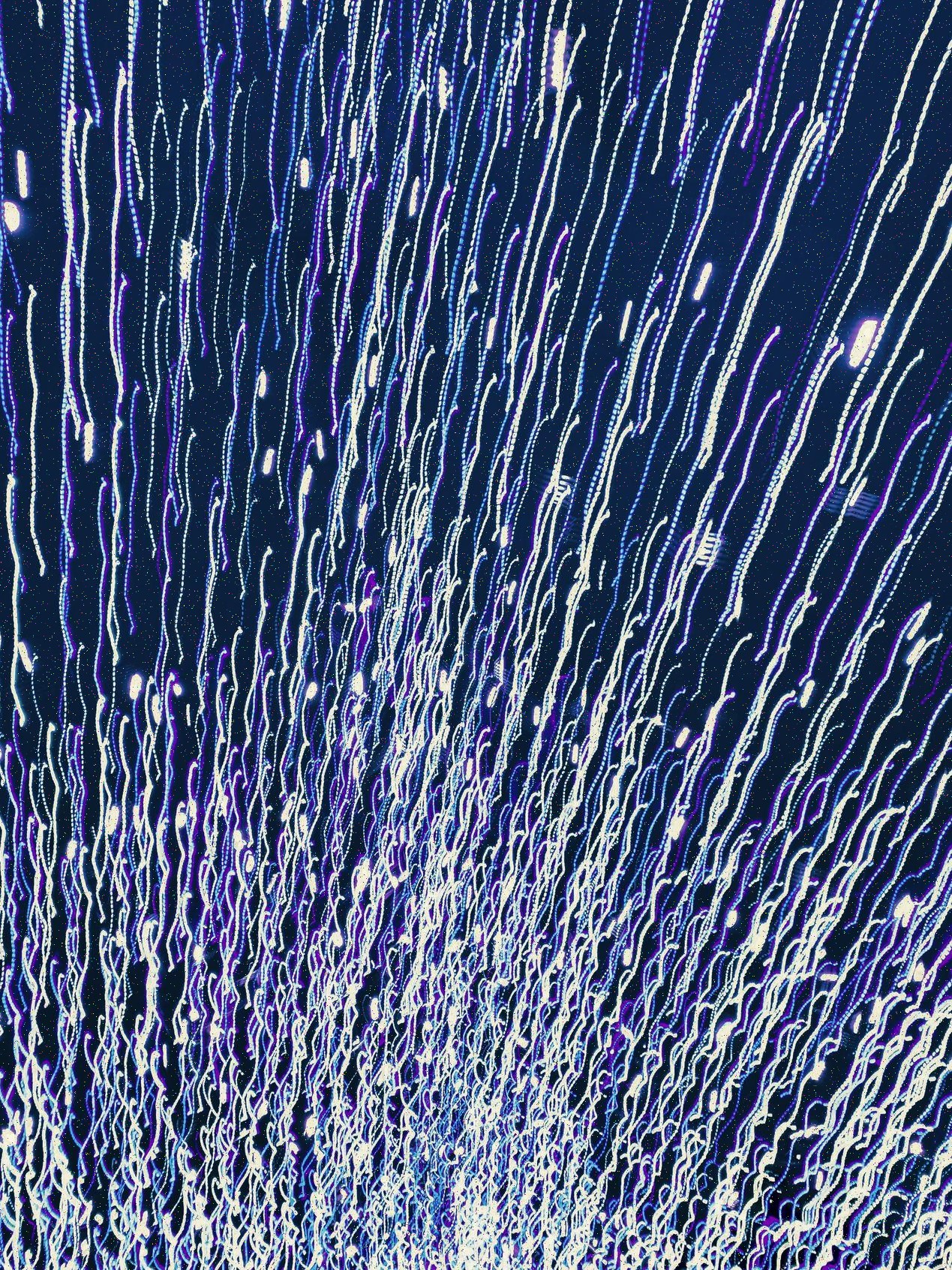 Template Portefólio